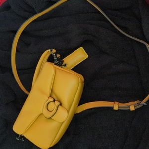 💛COACH Pillow Tabby 18💛